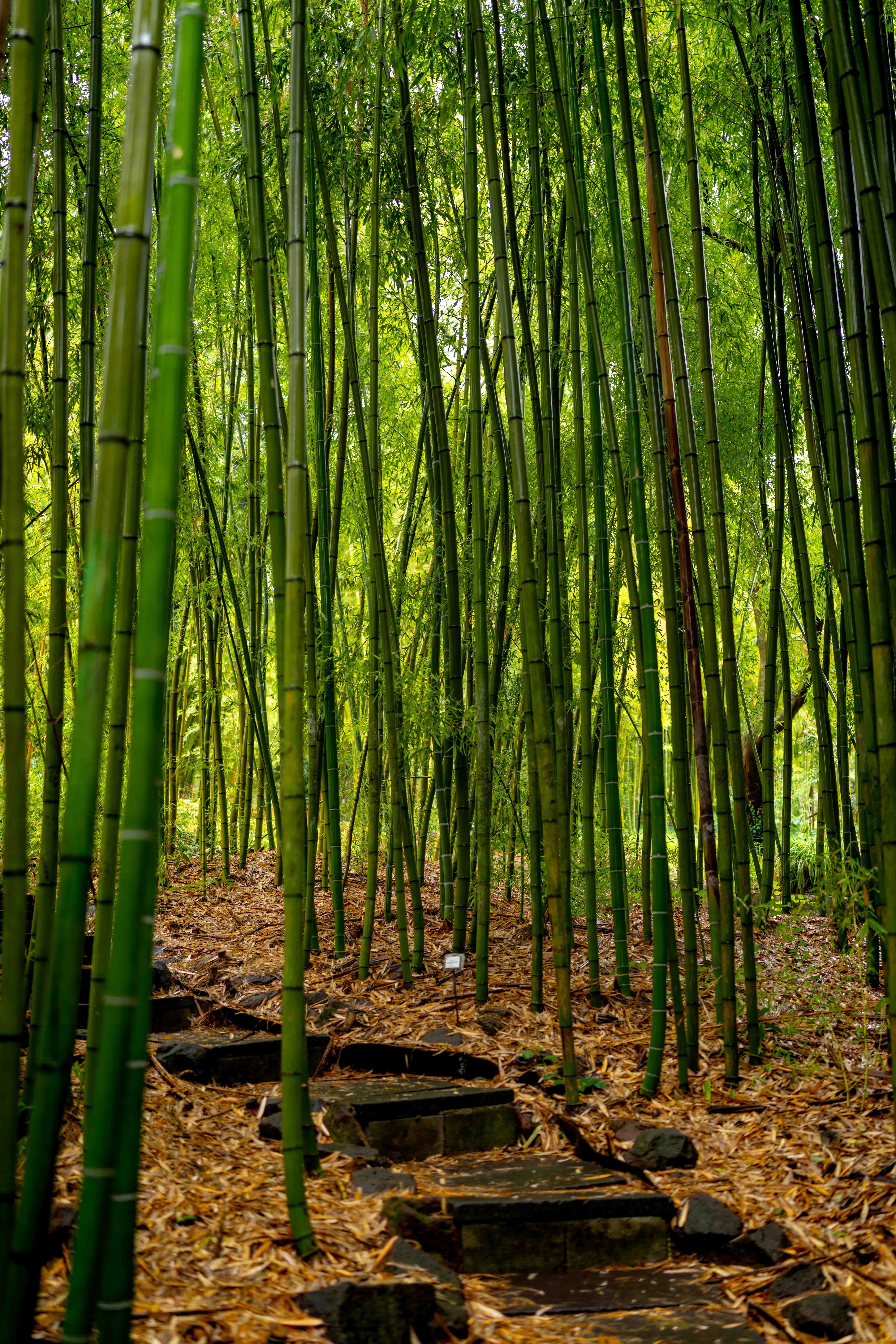 Photos from travel in Rome, Florence, Venice, Fall 2025.